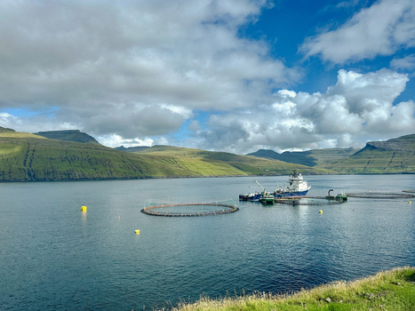 View of a fish farm with circular pens and a service vessel in a fjord surrounded by green mountains under a cloudy sky in the Faroe Islands. View of a fish farm with circular pens and a service vessel in a fjord surrounded by green mountains under a cloudy sky in the Faroe Islands.