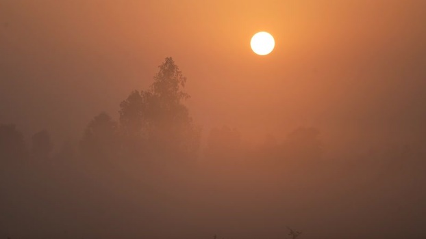 View of the sun rising through thick morning fog Bangladesh. View of the sun rising through thick morning fog Bangladesh.