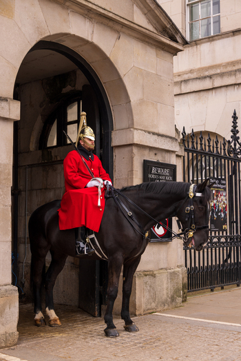 London United Kingdom 12 May 2025 View of a member of the King s Life Guard on a black horse standing at the entrance of Horse Guards Parade with stone architecture and iron gates.