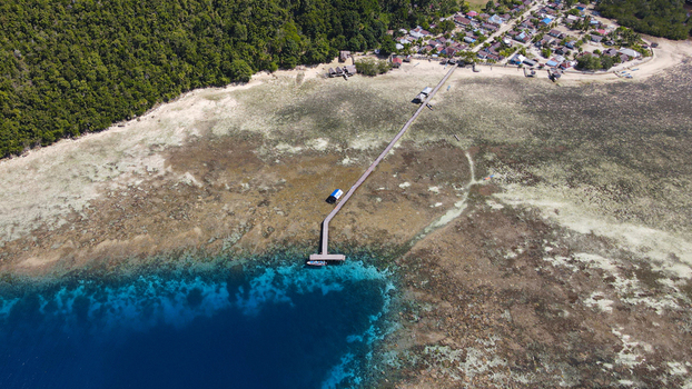 Aerial view of a long wooden pier extending into the turquoise waters of a coral reef near a coastal village in Raja Ampat Southwest Papua Indonesia.