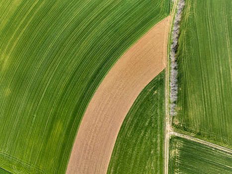 Aerial view of vibrant green agricultural fields with linear patterns a curved patch of brown soil and a dirt path lined with bare trees in Rivalta di Torino Piedmont Italy. Aerial view of vibrant green agricultural fields with linear patterns a curved patch of brown soil and a dirt path lined with bare trees in Rivalta di Torino Piedmont Italy.