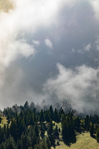 Aerial view of dense evergreen forests in the Swiss Alps partially shrouded in thick mountain mist and clouds Airolo Ticino Switzerland. Aerial view of dense evergreen forests in the Swiss Alps partially shrouded in thick mountain mist and clouds Airolo Ticino Switzerland.