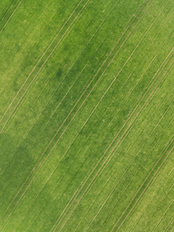 Aerial view of a lush green agricultural field with diagonal tractor tracks and parallel lines in Aiglsbach Bavaria Germany. Aerial view of a lush green agricultural field with diagonal tractor tracks and parallel lines in Aiglsbach Bavaria Germany.