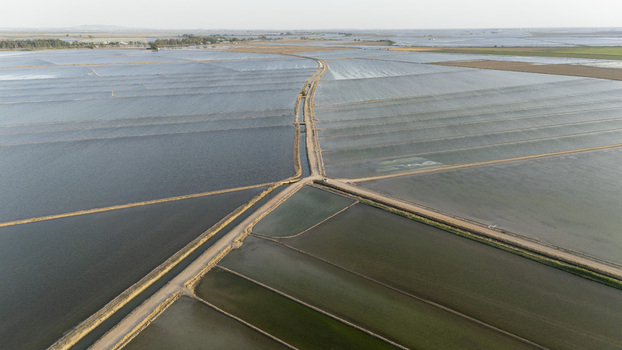 Aerial view of flooded rice paddies and agricultural fields at Isla Minima with dirt roads intersecting under a clear sky in Coria del Rio Andalusia Spain. Aerial view of flooded rice paddies and agricultural fields at Isla Minima with dirt roads intersecting under a clear sky in Coria del Rio Andalusia Spain.