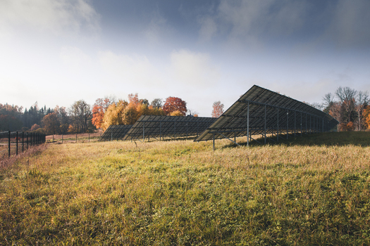 View of solar panels installed in a grassy field surrounded by autumn trees in Otepaa Valga County Estonia. View of solar panels installed in a grassy field surrounded by autumn trees in Otepaa Valga County Estonia.