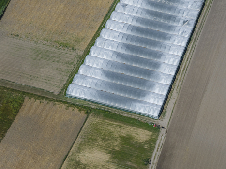 Aerial view of long rows of plastic greenhouses and cultivated agricultural fields with geometric patterns Paestum Campania Italy.