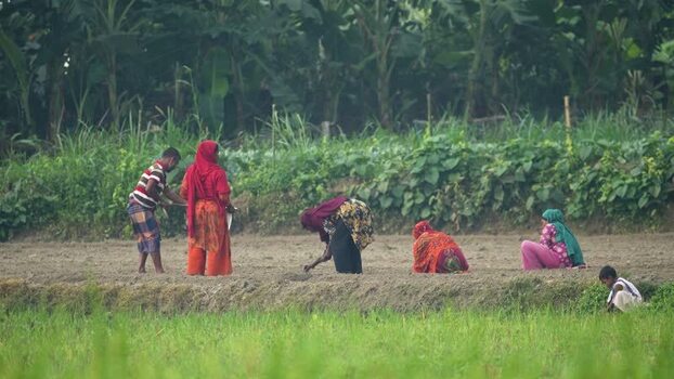 View of farmers working in a field in Bogura Bangladesh.
