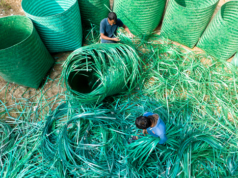 Manikganj Bangladesh 15 January 2025 Aerial view of artisans weaving vibrant green baskets amidst scattered strands their hands a blur of motion against the earth toned ground. Manikganj Bangladesh 15 January 2025 Aerial view of artisans weaving vibrant green baskets amidst scattered strands their hands a blur of motion against the earth toned ground.
