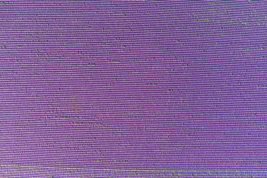Aerial view of a vast lavender field with neat rows of purple flowers in full bloom in Bulgaria. Aerial view of a vast lavender field with neat rows of purple flowers in full bloom in Bulgaria.