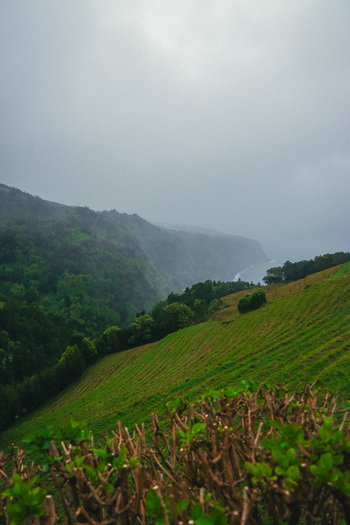 Aerial view of verdant terraces cascading down to the rugged coastline under a sky heavy with mist a symphony of green meeting the grey Azores Portugal.