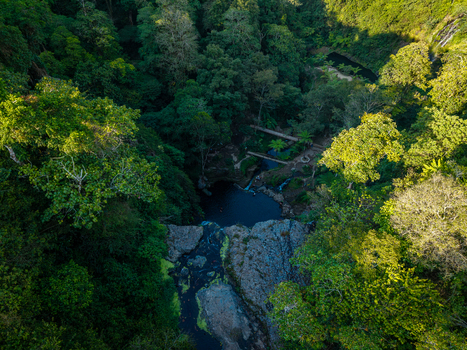 Aerial view of Banyumala Waterfall surrounded by lush tropical rainforest rocky terrain and a natural pool in Sukasada Bali Indonesia.