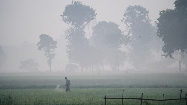 View of a farmer spraying crops in a misty field Bangladesh.