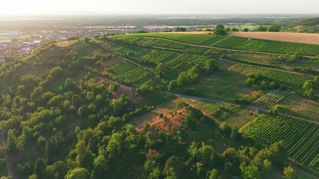 Aerial view of Petersberg vineyards in Weingarten Germany. Aerial view of Petersberg vineyards in Weingarten Germany.