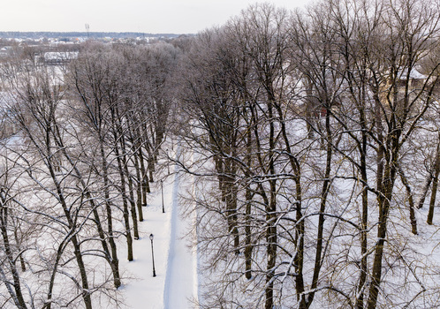 Aerial view of a snow covered tree alley with frosty branches and a cleared path in a winter park Lithuania. Aerial view of a snow covered tree alley with frosty branches and a cleared path in a winter park Lithuania.