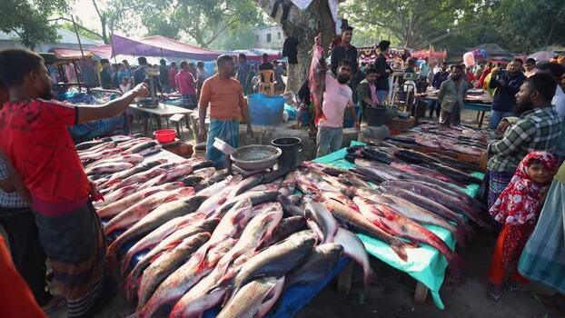 View of a busy fish market with large fish on display Bangladesh. View of a busy fish market with large fish on display Bangladesh.