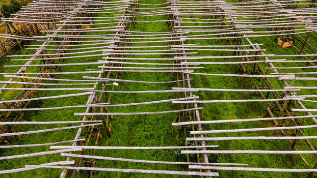 Aerial view of fish drying facility with wooden racks over green grass in Hafnarfjordur Hafnarfjardarkaupstadh Iceland. Aerial view of fish drying facility with wooden racks over green grass in Hafnarfjordur Hafnarfjardarkaupstadh Iceland.