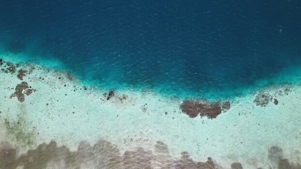 Aerial view of coral reef in Los Roques archipelago Venezuela.