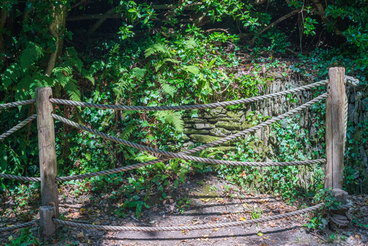 View of a rustic rope fence with wooden posts set against a mossy stone wall covered in lush ferns and ivy in the countryside of Lansallos England United Kingdom. View of a rustic rope fence with wooden posts set against a mossy stone wall covered in lush ferns and ivy in the countryside of Lansallos England United Kingdom.
