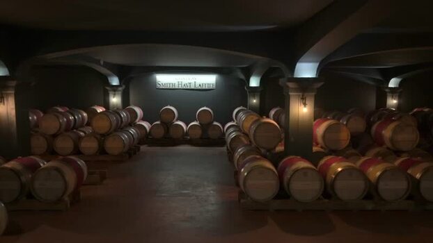 View of a wine cellar with rows of barrels France.