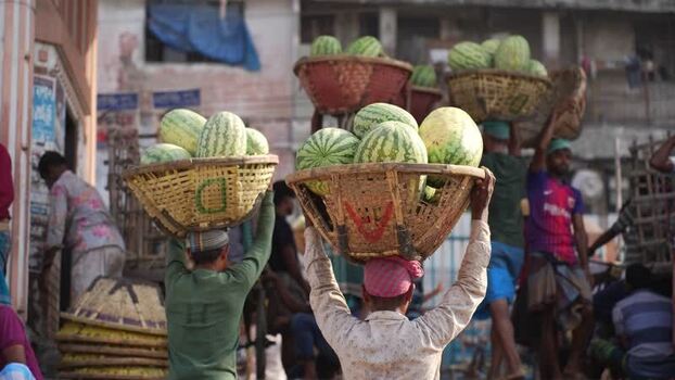 View of workers carrying baskets of watermelons in Dhaka Bangladesh.