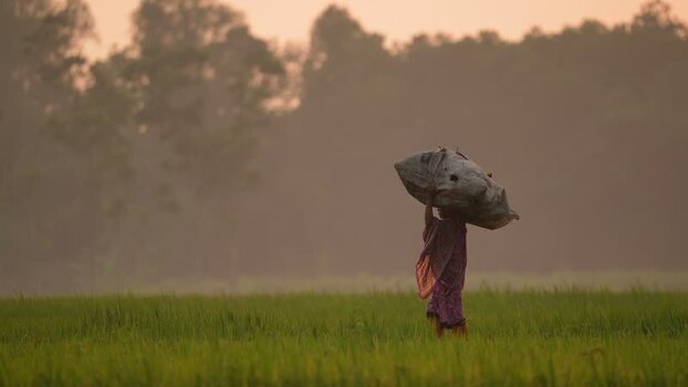 View of a woman carrying a heavy sack through a field Bangladesh.