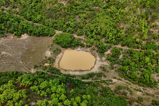 Aerial view of a small muddy pond nestled within a lush green forest with winding dirt paths in Sherpur Mymensingh Bangladesh.