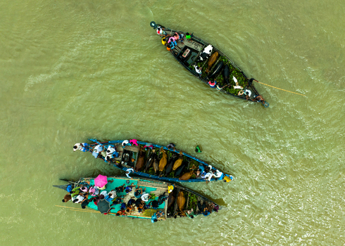 Aerial view of Baish Mowza Sarak Bazar with people transporting cattle and goods on traditional wooden boats along the river in Nabinagar Chittagong Division Bangladesh. Aerial view of Baish Mowza Sarak Bazar with people transporting cattle and goods on traditional wooden boats along the river in Nabinagar Chittagong Division Bangladesh.