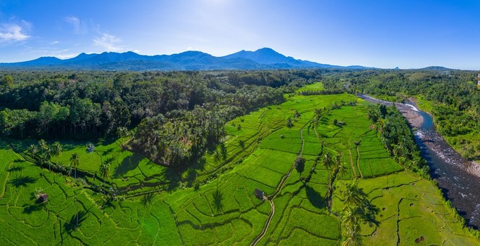 Aerial view of lush green rice terraces and a winding river bordered by dense tropical forest with mountains under a clear blue sky in Taba Tembilang Arga Makmur Bengkulu Indonesia. Aerial view of lush green rice terraces and a winding river bordered by dense tropical forest with mountains under a clear blue sky in Taba Tembilang Arga Makmur Bengkulu Indonesia.