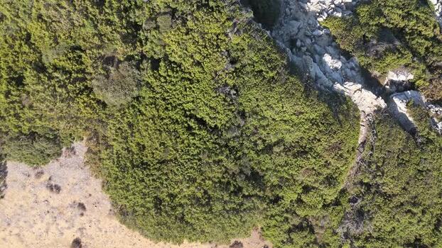 Aerial view of rocky terrain and green vegetation Northern Cyprus.