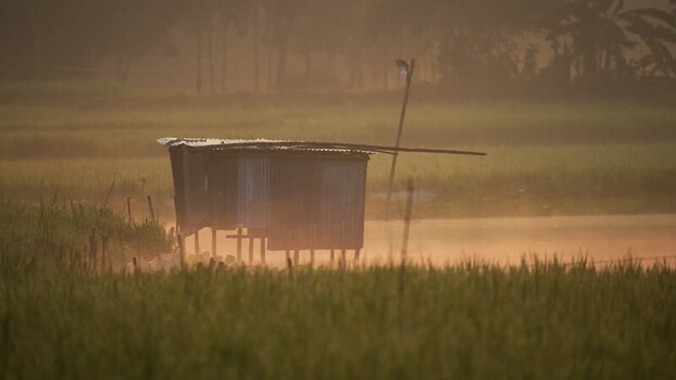 View of a rural shack in misty fields at sunrise Bangladesh.