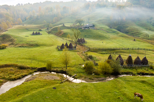 Aerial view of Fundatura Ponorului featuring traditional haystacks a winding stream and a grazing cow in the rolling green hills of Ohaba Ponor Hunedoara Romania.