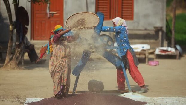 View of women processing grain with a winnowing machine Nepal. View of women processing grain with a winnowing machine Nepal.