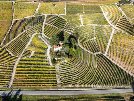 Aerial view of the Barolo Cannubi Hill vineyards with geometric rows of vines in autumn colors surrounding a small villa in Barolo Piedmont Italy. Aerial view of the Barolo Cannubi Hill vineyards with geometric rows of vines in autumn colors surrounding a small villa in Barolo Piedmont Italy.