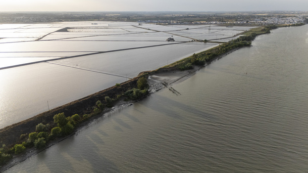 Aerial view of the flooded rice fields of Isla Minima along the Guadalquivir river with embankments and rural landscapes under a soft hazy sky in Sevilla Andalucia Spain. Aerial view of the flooded rice fields of Isla Minima along the Guadalquivir river with embankments and rural landscapes under a soft hazy sky in Sevilla Andalucia Spain.