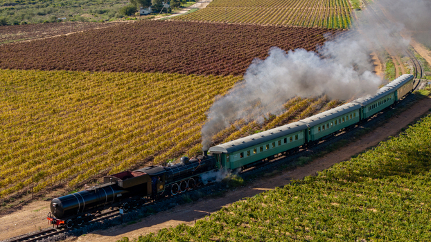 Aerial view of a vintage steam train traveling through lush vineyards with white smoke billowing from its engine Robertson Western Cape South Africa.