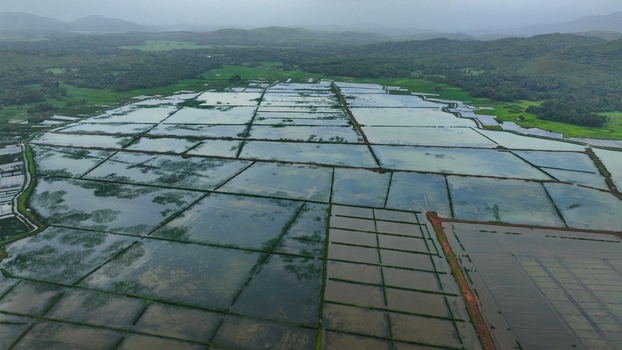 Aerial view of flooded rice paddies in the rural landscape of Gokarna Karnataka India. Aerial view of flooded rice paddies in the rural landscape of Gokarna Karnataka India.