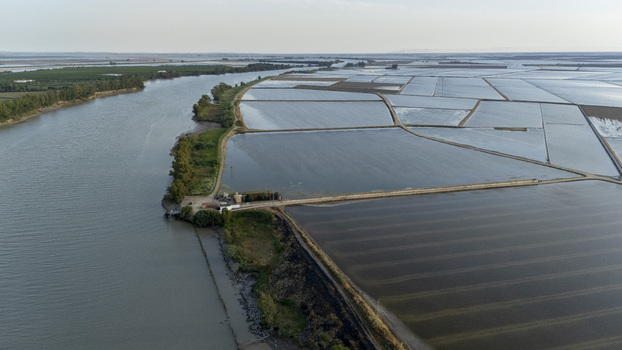 Aerial view of the flooded rice paddies and the Guadalquivir river at Isla Minima with lush trees along the bank in Sevilla Andalucia Spain. Aerial view of the flooded rice paddies and the Guadalquivir river at Isla Minima with lush trees along the bank in Sevilla Andalucia Spain.