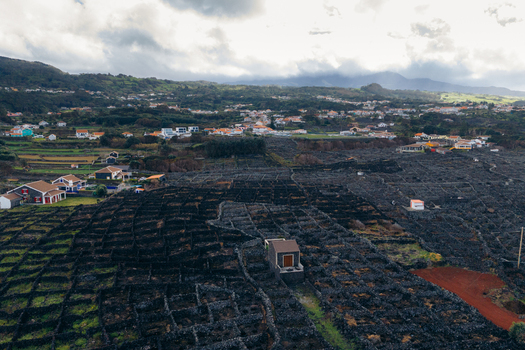Aerial view of traditional volcanic stone vineyards and a small stone house under a cloudy sky in Biscoitos Azores Portugal. Aerial view of traditional volcanic stone vineyards and a small stone house under a cloudy sky in Biscoitos Azores Portugal.
