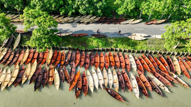 Aerial view of boats lined up along the riverbank creating a striking contrast between the earthy tones of the boats and the lush green foliage Pirojpur Pourashava Barisal Division Bangladesh. Aerial view of boats lined up along the riverbank creating a striking contrast between the earthy tones of the boats and the lush green foliage Pirojpur Pourashava Barisal Division Bangladesh.