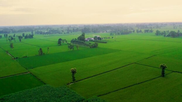 Aerial view of a village field in Patna India.