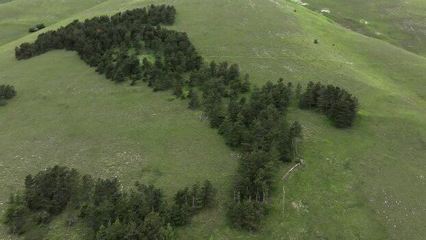 Aerial view of Italy shaped forest in Castelluccio Italy.