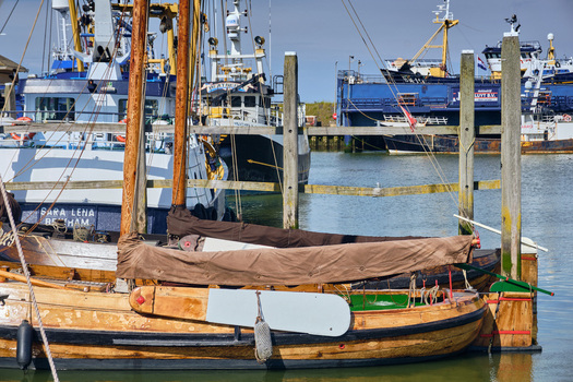 Den Oever Netherlands 18 May 2026 View of historic sailing vessels of the type Wieringeraak moored in the fishing harbor with modern trawlers in the background. Den Oever Netherlands 18 May 2026 View of historic sailing vessels of the type Wieringeraak moored in the fishing harbor with modern trawlers in the background.