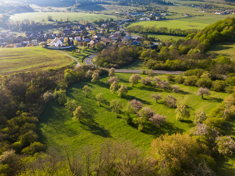 Aerial view of the historic Church of Saint Martin surrounded by blooming orchards and green rolling hills in Cerin Banskobystricky kraj Slovakia. Aerial view of the historic Church of Saint Martin surrounded by blooming orchards and green rolling hills in Cerin Banskobystricky kraj Slovakia.