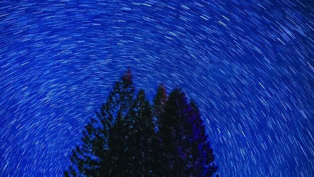 View of vibrant star trails above dark trees United States.
