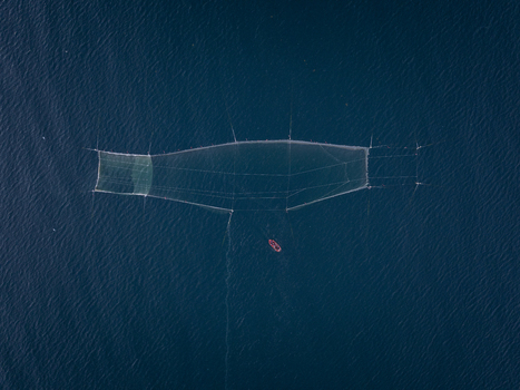 Aerial view of a large fishing net submerged in the deep blue sea with a small boat nearby in Nessebar Burgas Bulgaria. Aerial view of a large fishing net submerged in the deep blue sea with a small boat nearby in Nessebar Burgas Bulgaria.