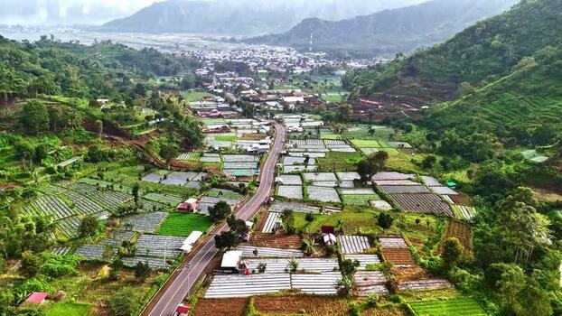 Aerial view of agricultural fields and road in Bali Indonesia.