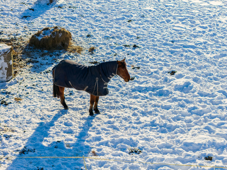 Aerial view of a brown horse wearing a winter blanket standing in a snow covered field with a hay bale Lithuania.