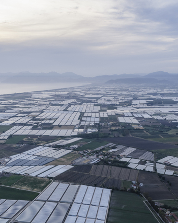 Aerial view of vast agricultural fields and numerous greenhouses stretching towards the coastline and distant mountains under a cloudy sky in Paestum Campania Italy.