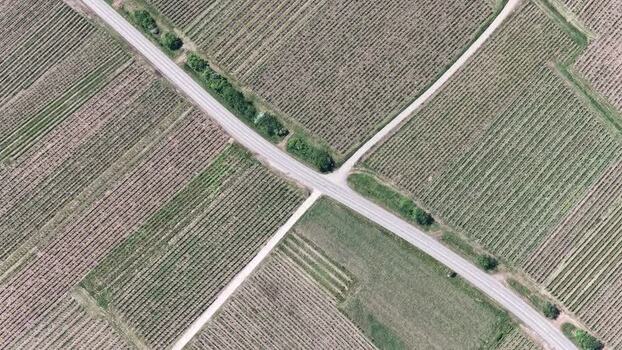 Aerial view of vineyard rows and road intersection France.