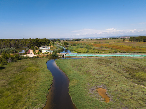 Aerial view of the Karavasta Lagoon with its winding canal lush wetlands and people walking near a building by the pine forest in Divjake Fier County Albania.